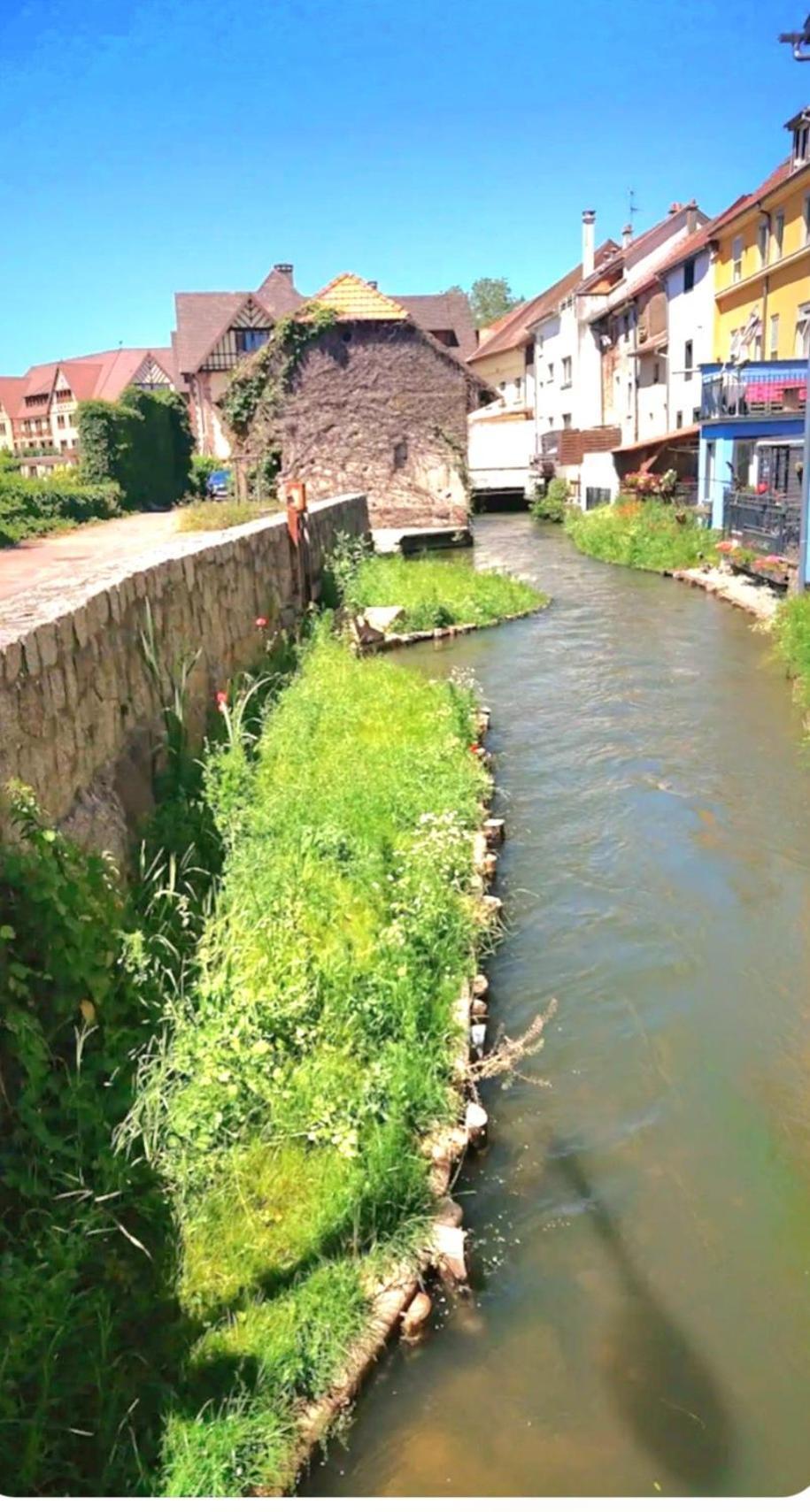 Willa L'Atypique Des Remparts Ensisheim Zewnętrze zdjęcie